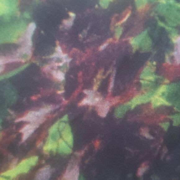 4@30.00 or 20.00 𝅺NWOT  Decorative Bottle Tree Banner - Picture 11 of 15